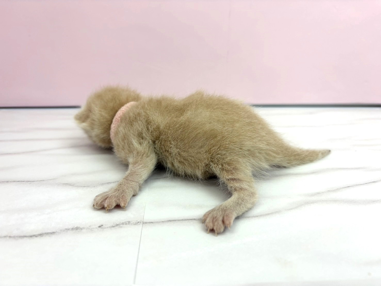 赤ちゃん写真1-2