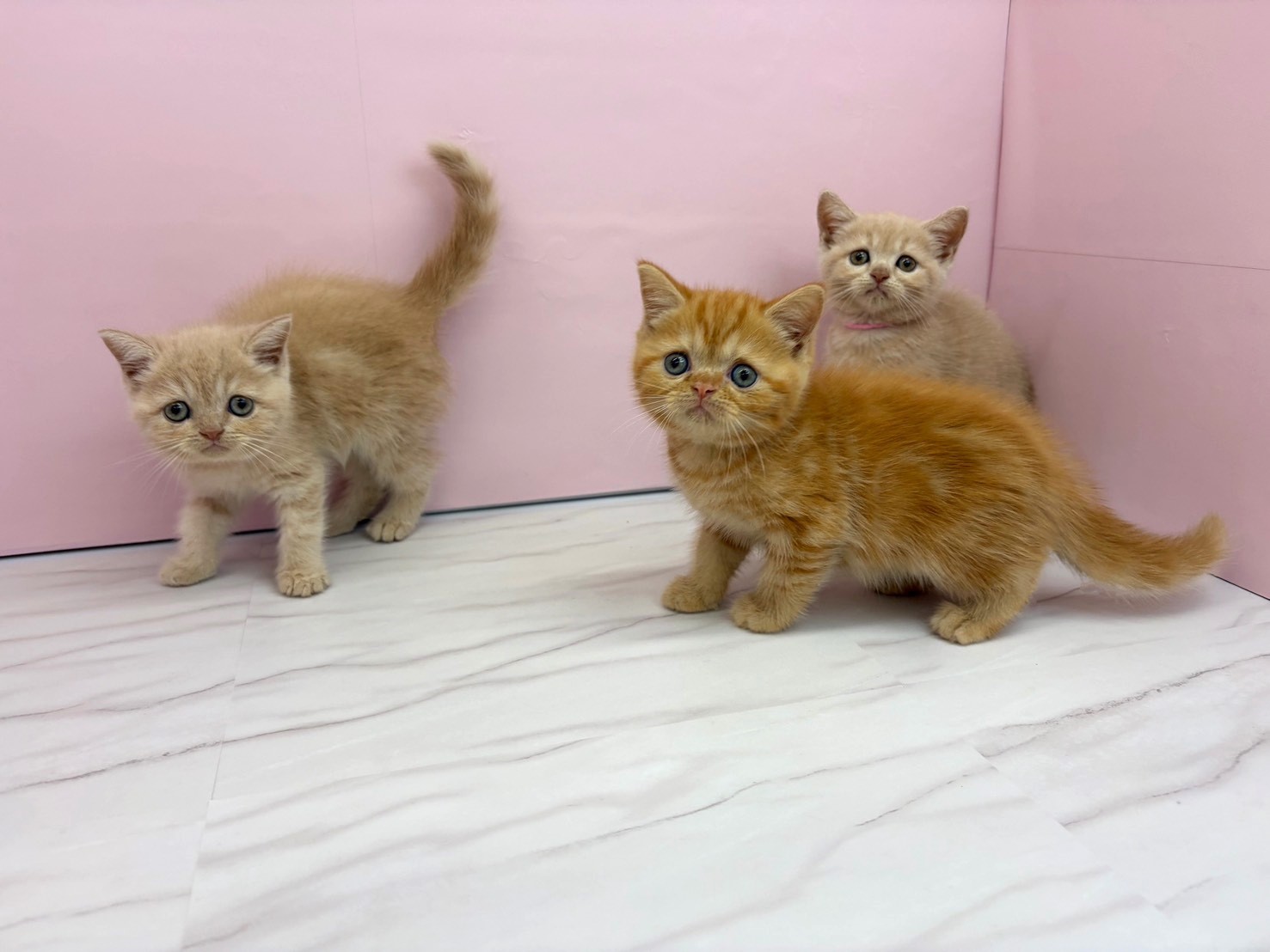赤ちゃん写真2-3