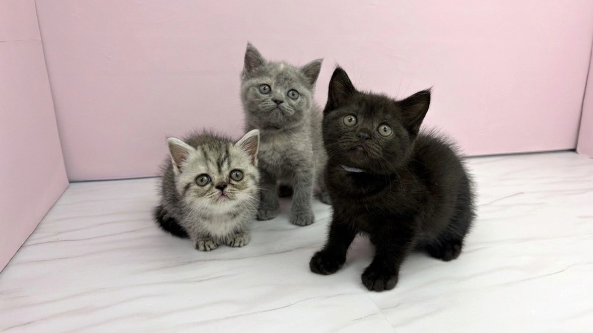 赤ちゃん写真2-3
