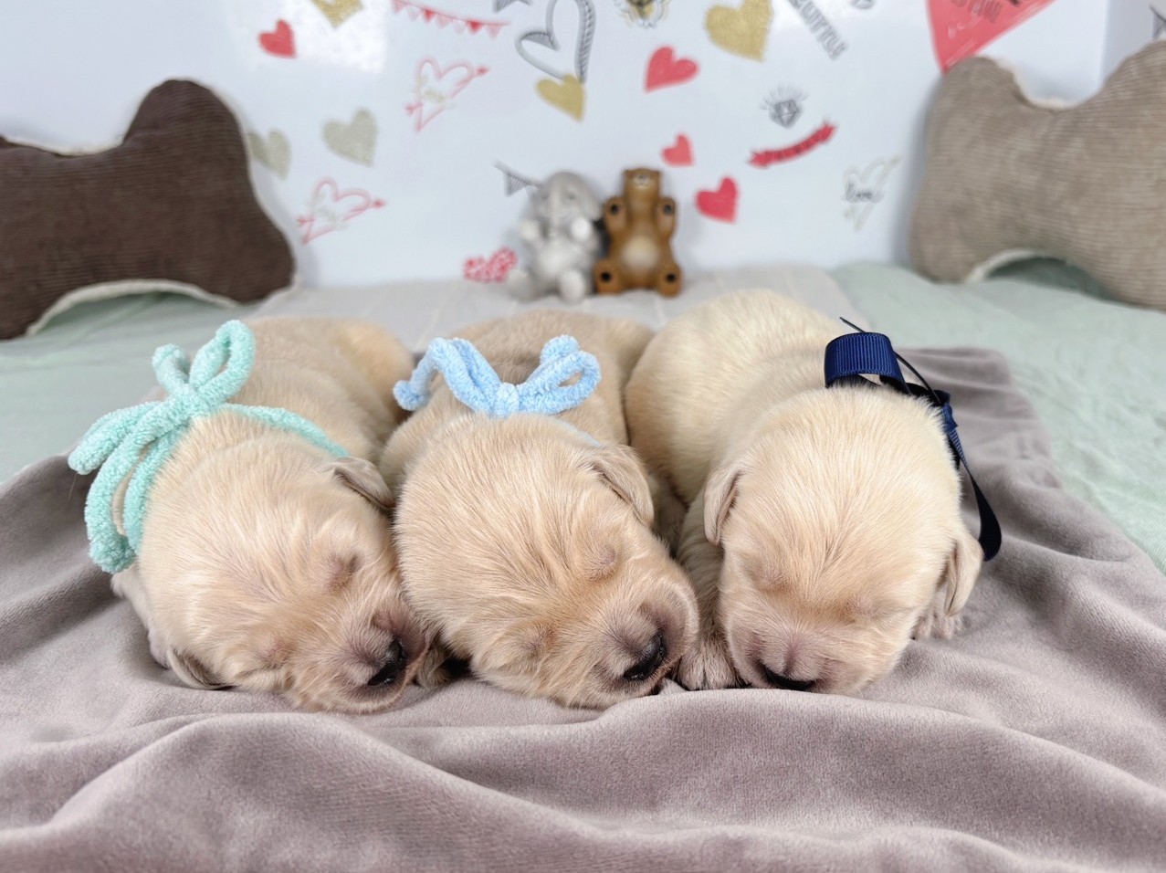 赤ちゃん写真1-3
