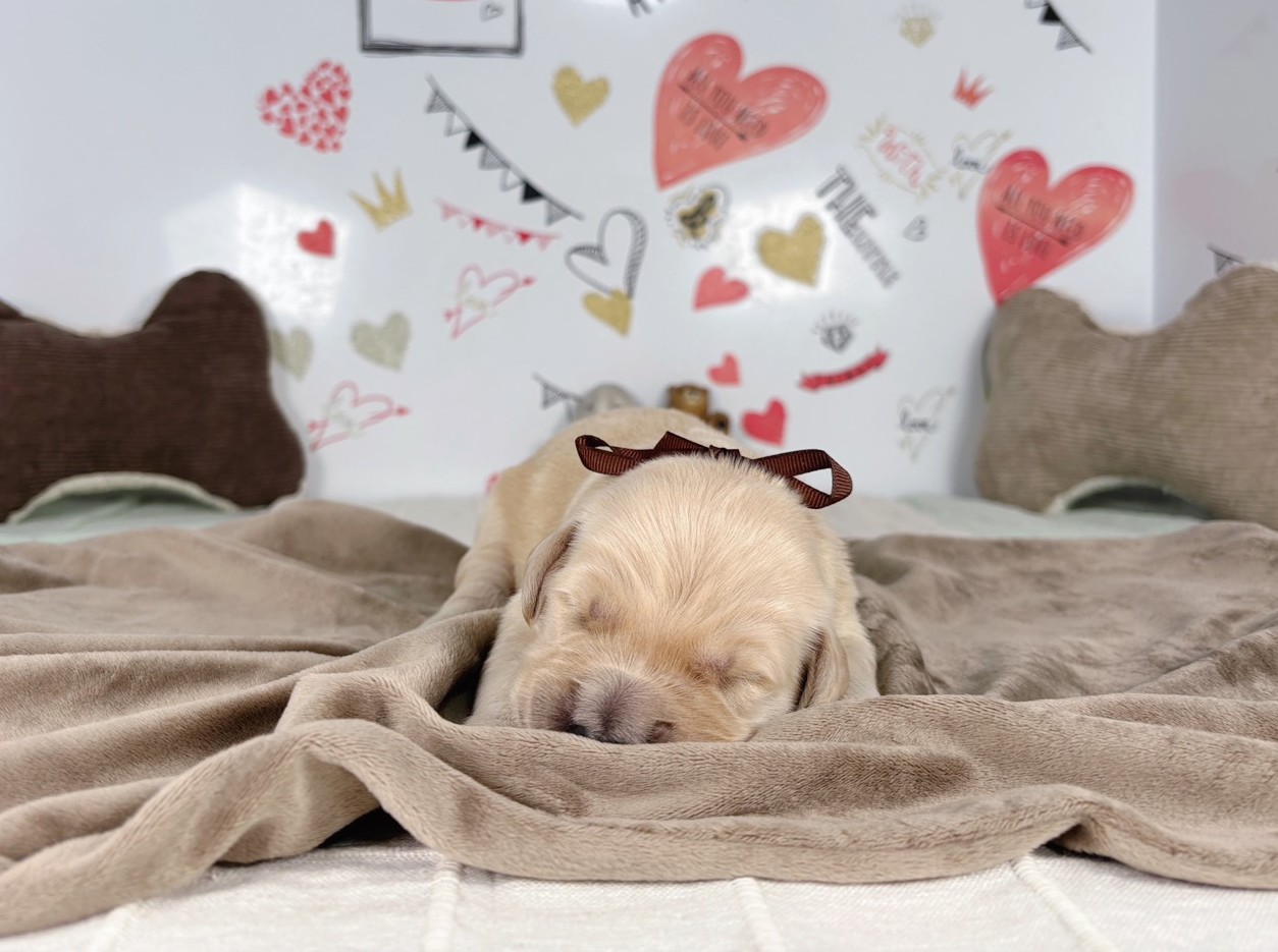 赤ちゃん写真1-1