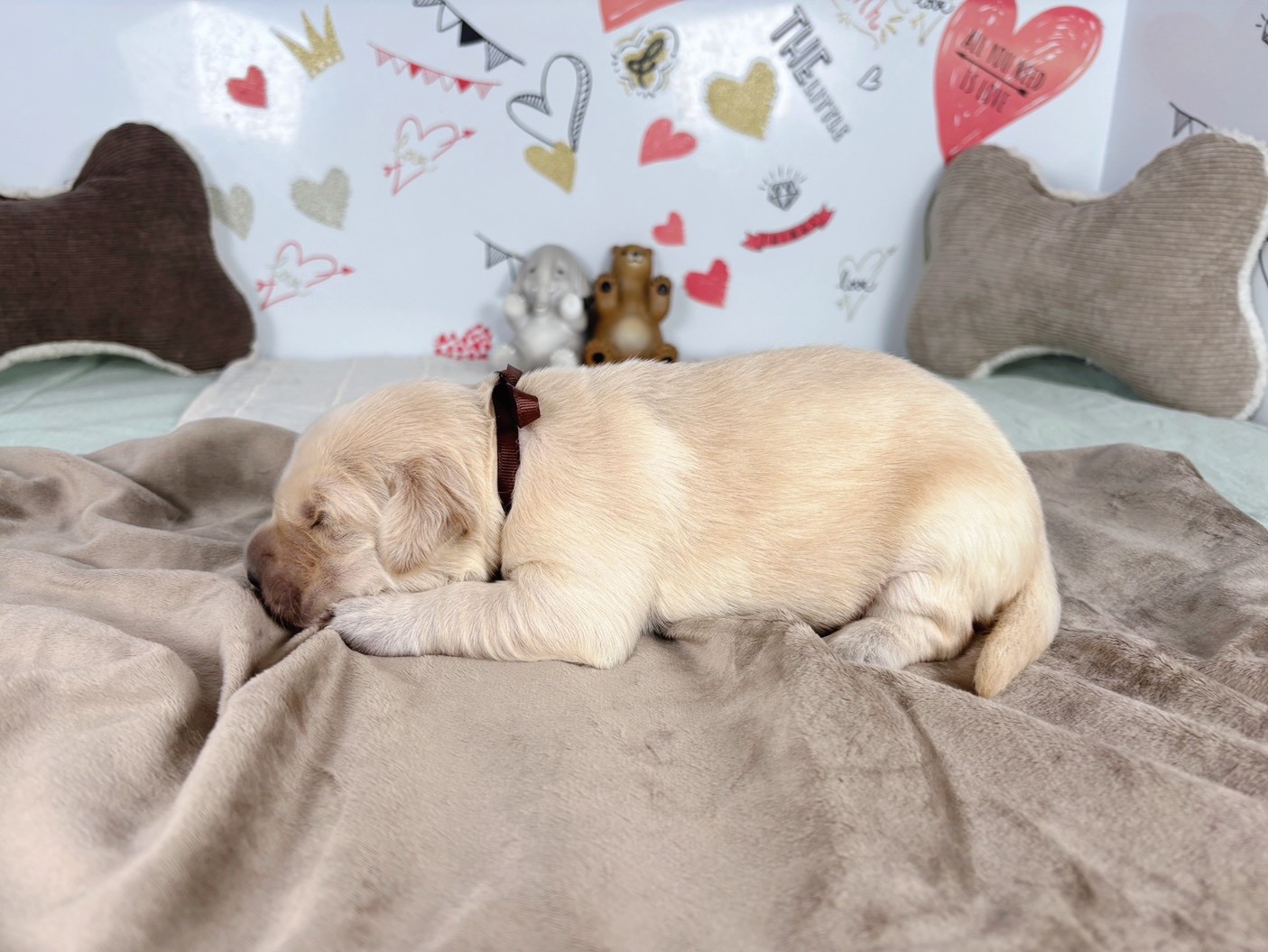 赤ちゃん写真1-2