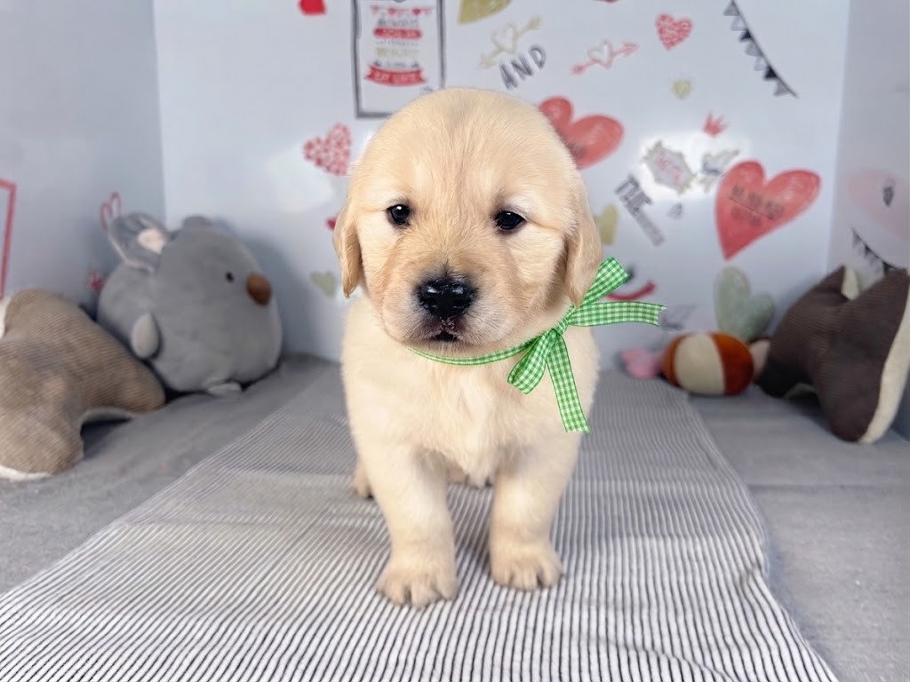 赤ちゃん写真2-1