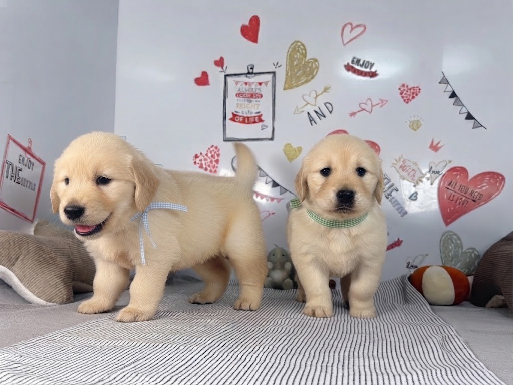 赤ちゃん写真2-3