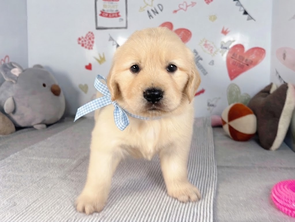 赤ちゃん写真2-1