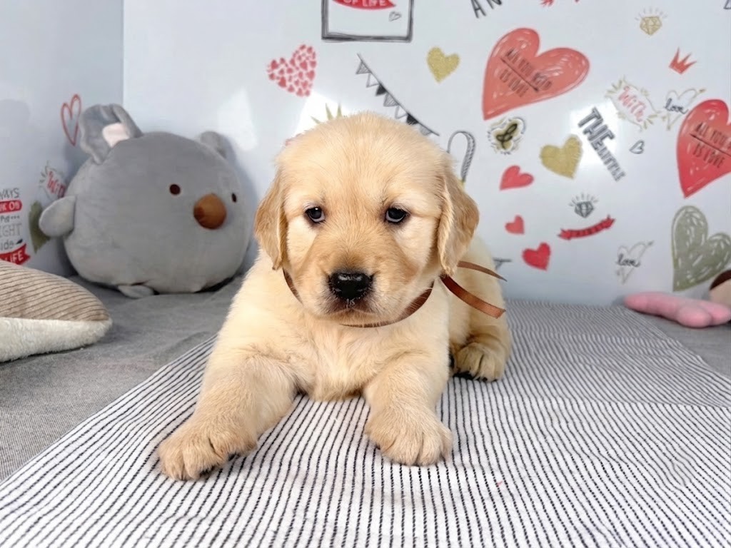 赤ちゃん写真2-1