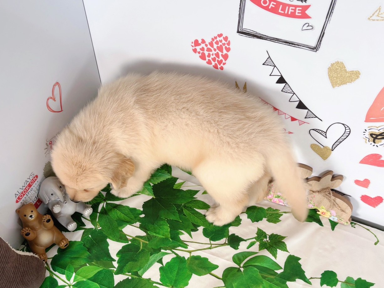赤ちゃん写真3-3