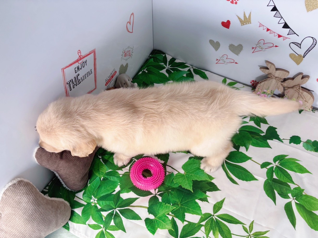 赤ちゃん写真3-3