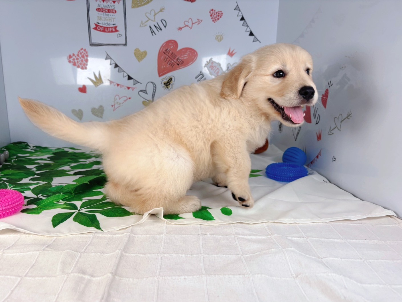 赤ちゃん写真3-2