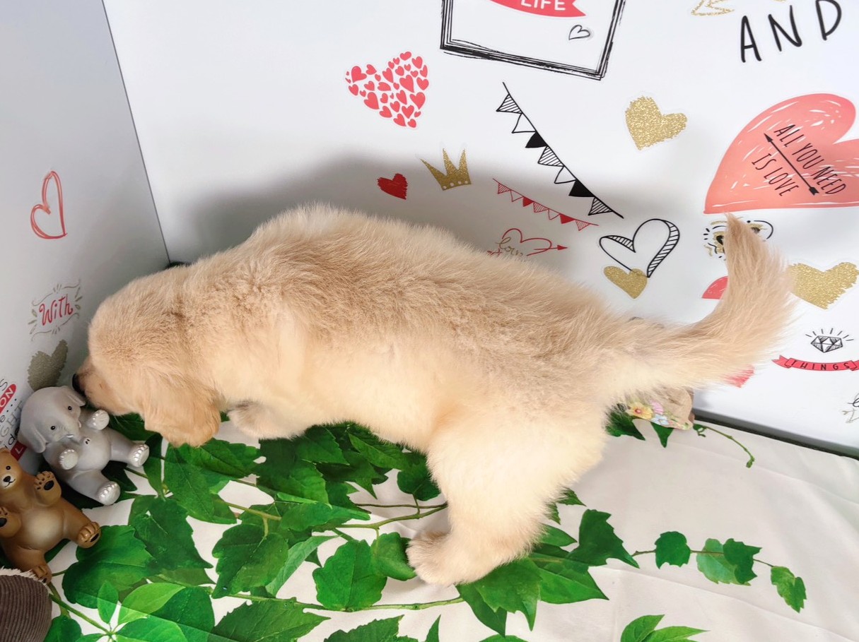 赤ちゃん写真3-3