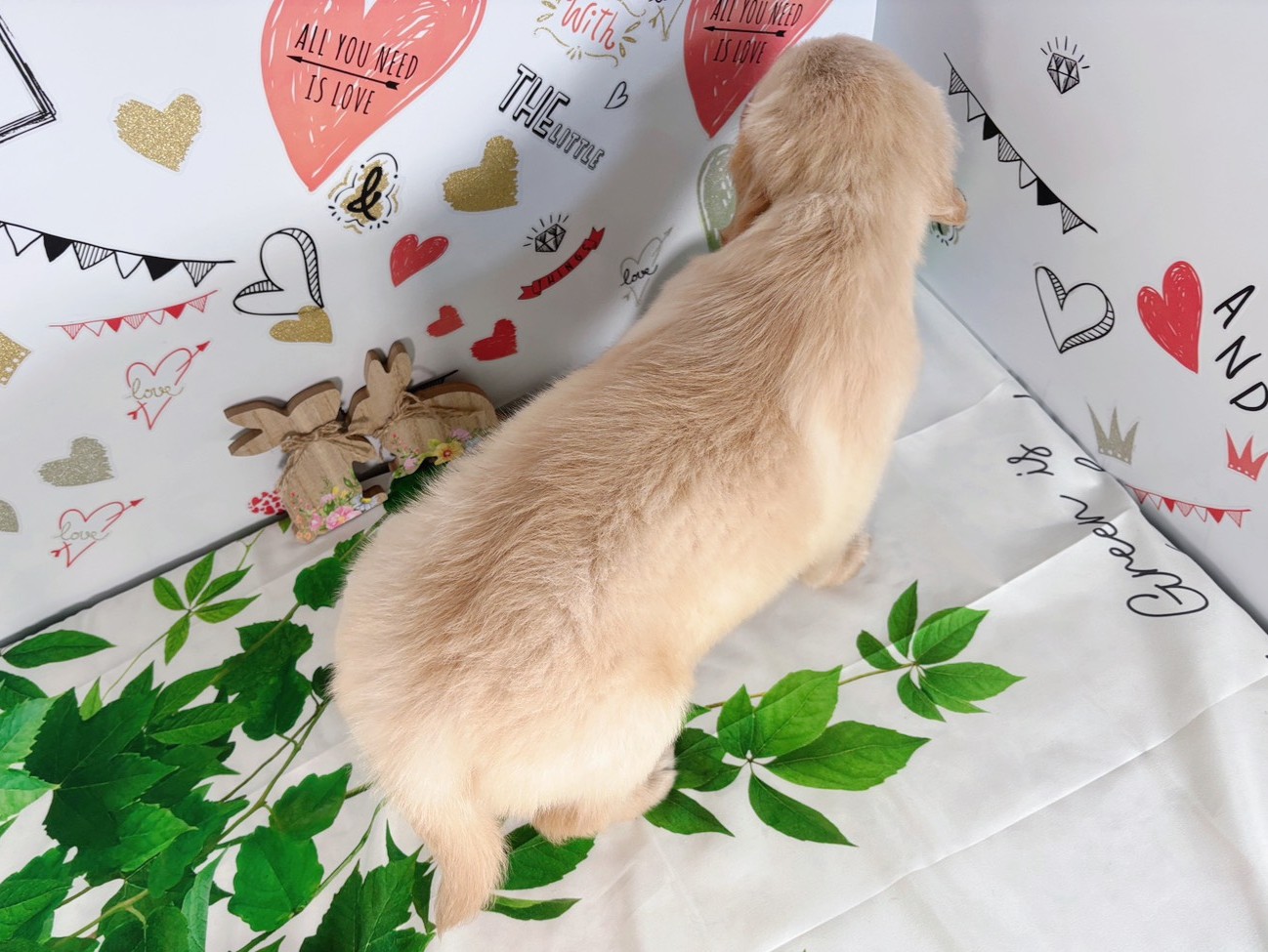 赤ちゃん写真3-3