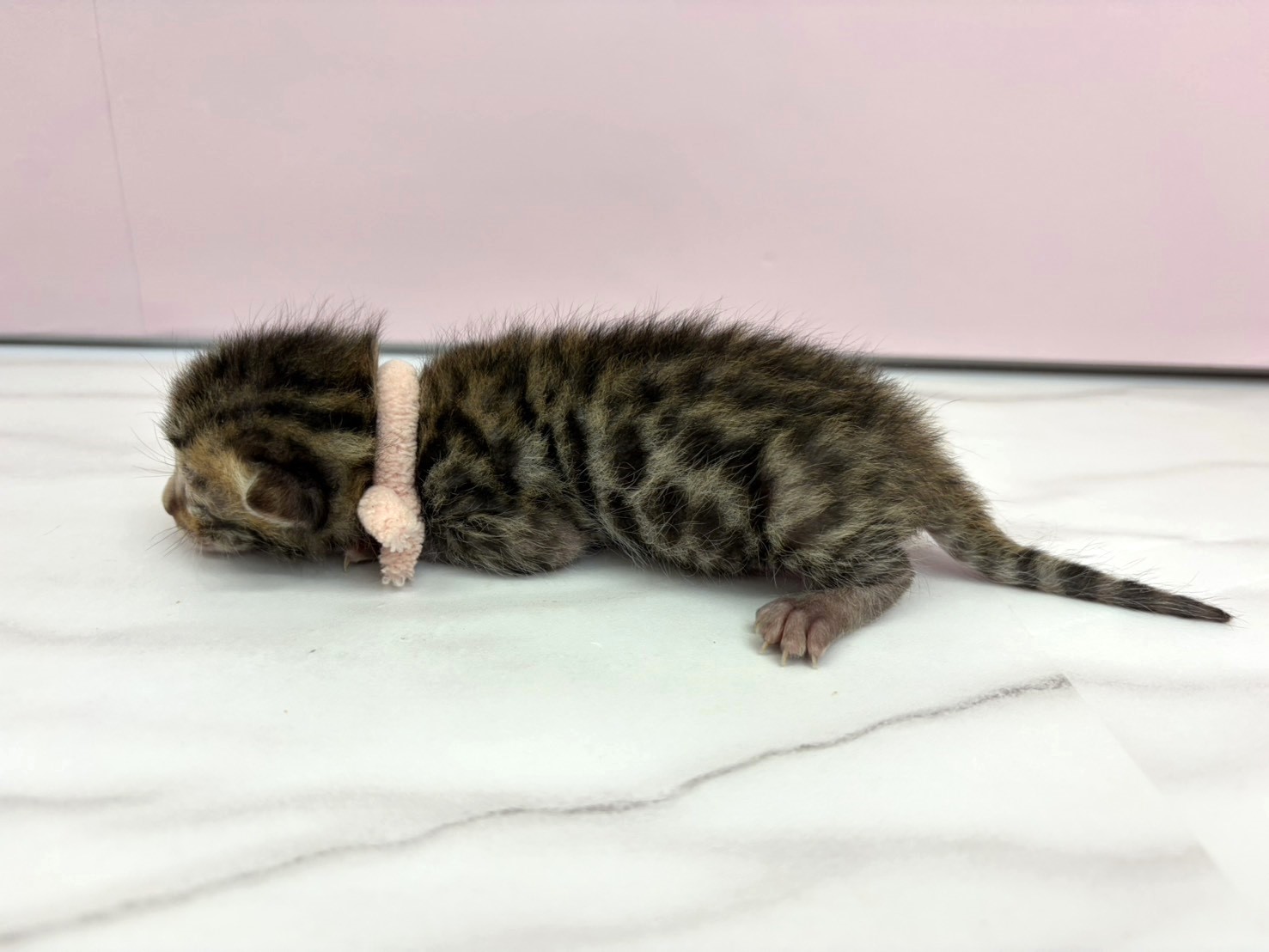 赤ちゃん写真1-2