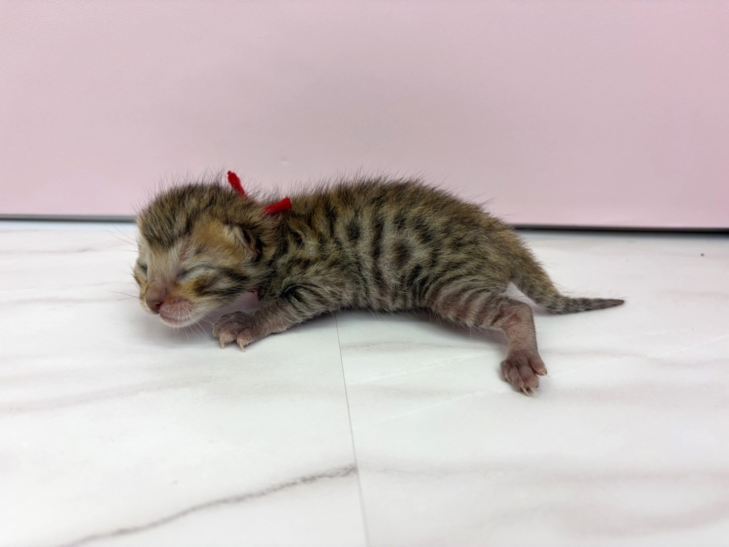 赤ちゃん写真1-2