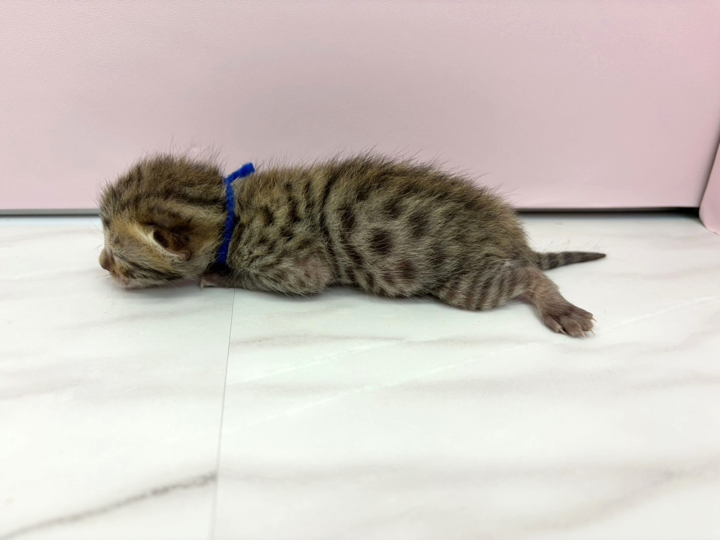 赤ちゃん写真1-2