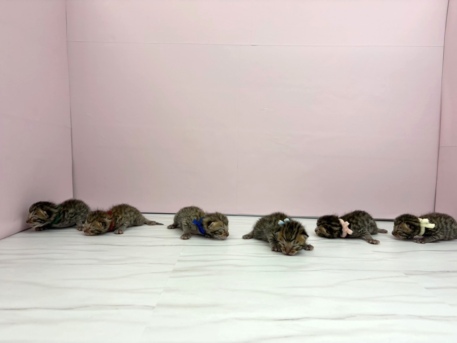 赤ちゃん写真1-3