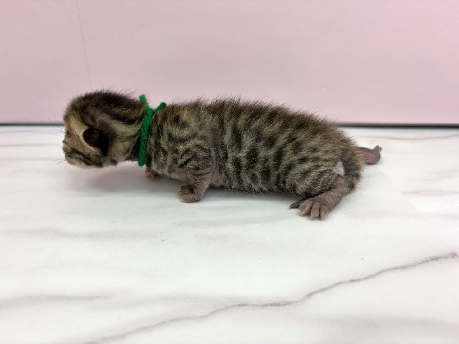 赤ちゃん写真1-2