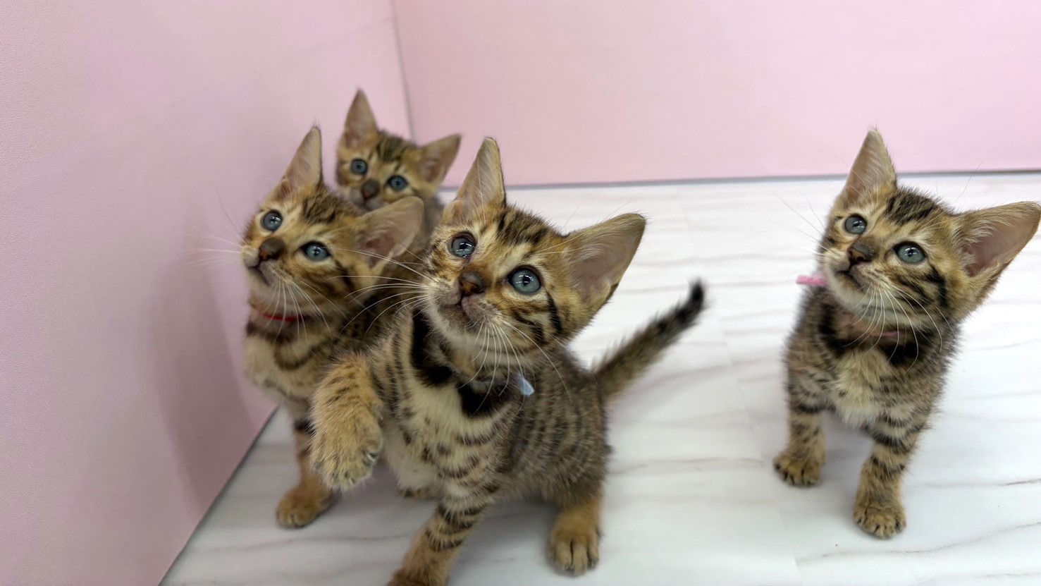 赤ちゃん写真2-3
