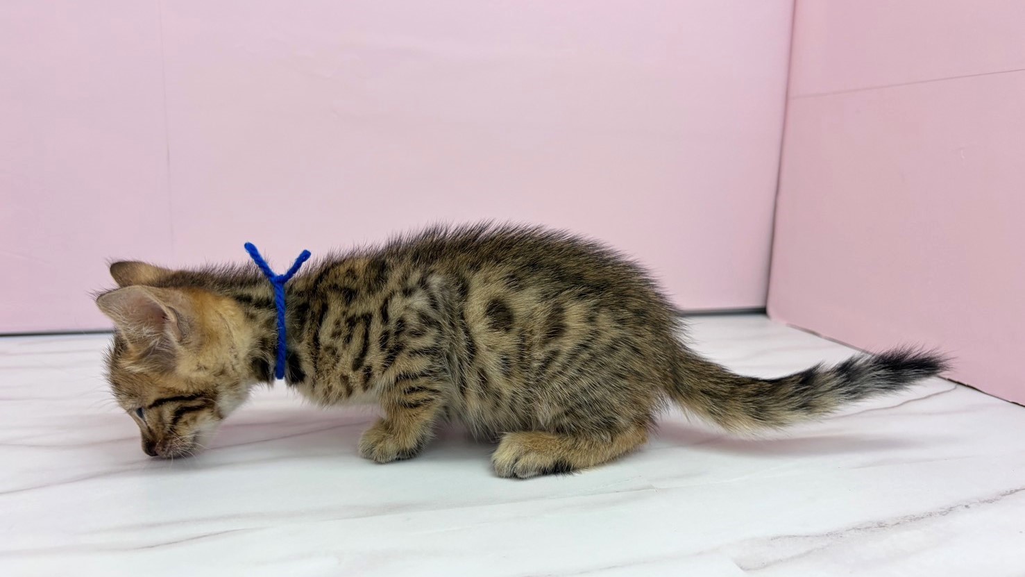 赤ちゃん写真2-2