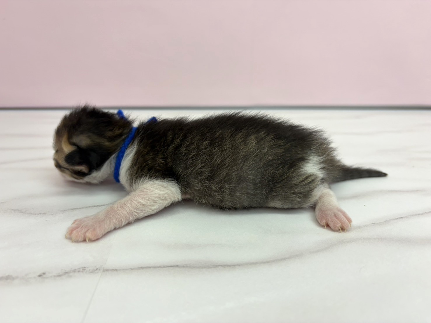 赤ちゃん写真1-2