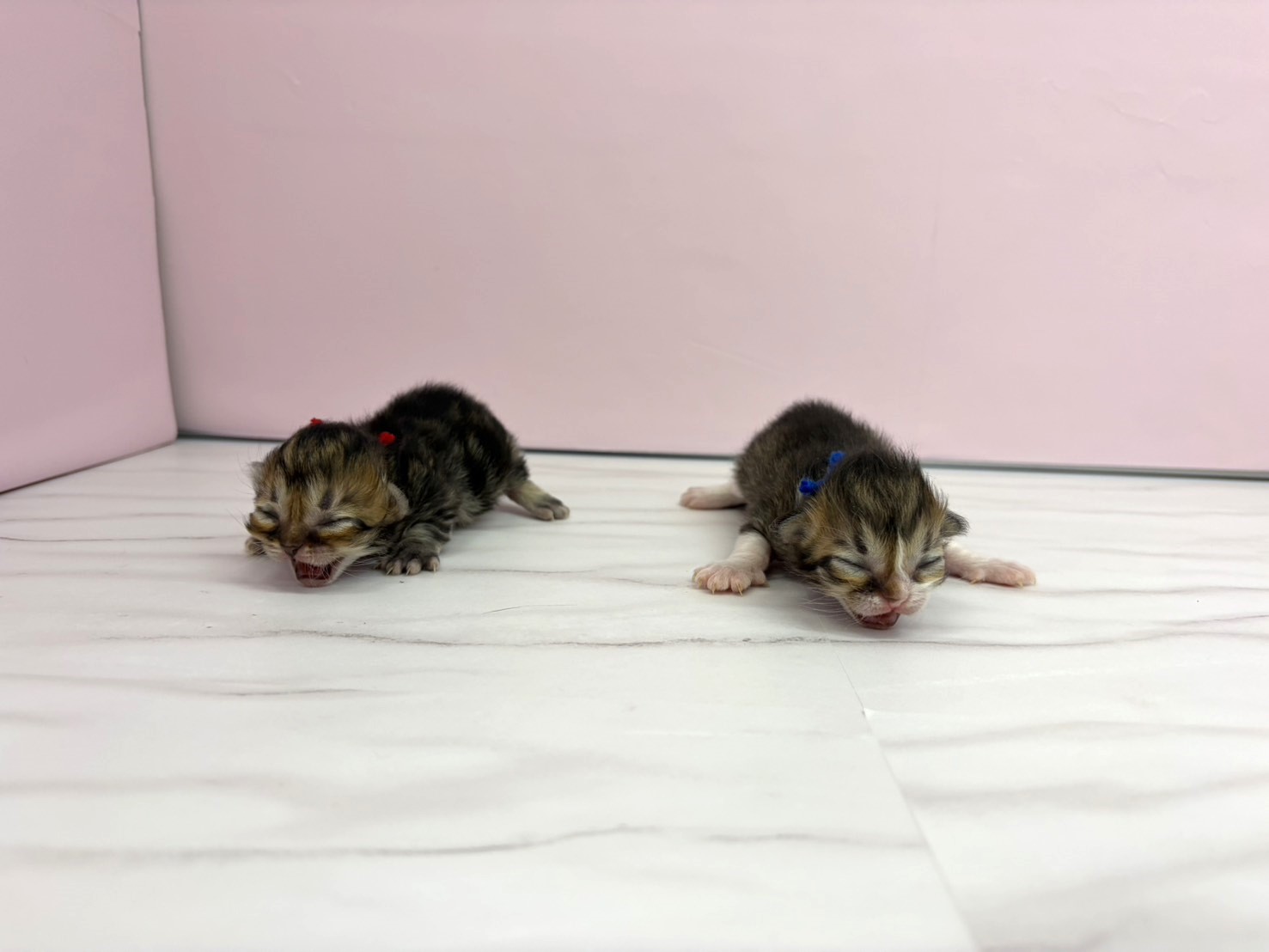 赤ちゃん写真1-3