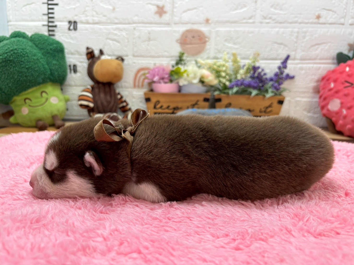 赤ちゃん写真1-2