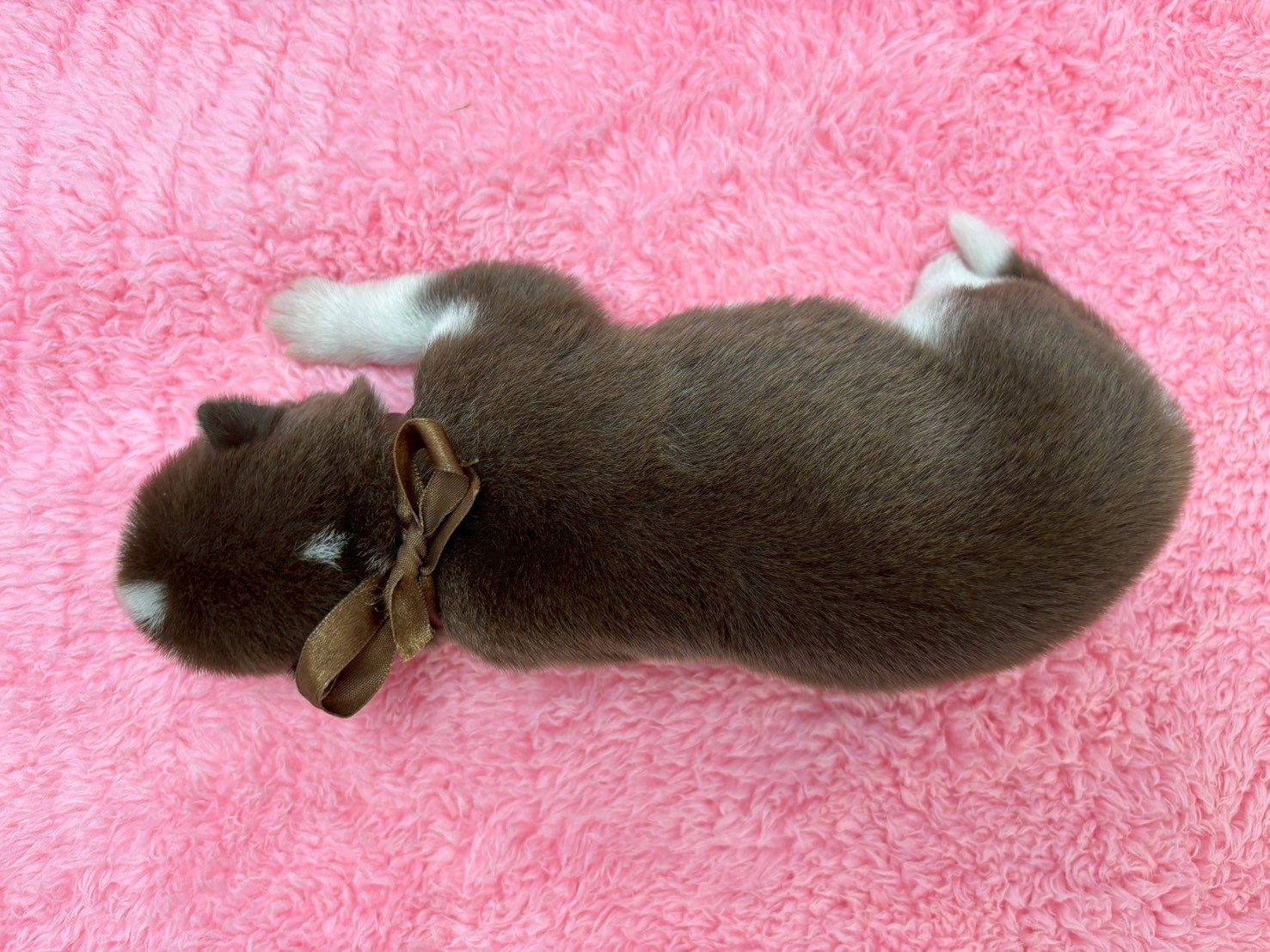 赤ちゃん写真1-3