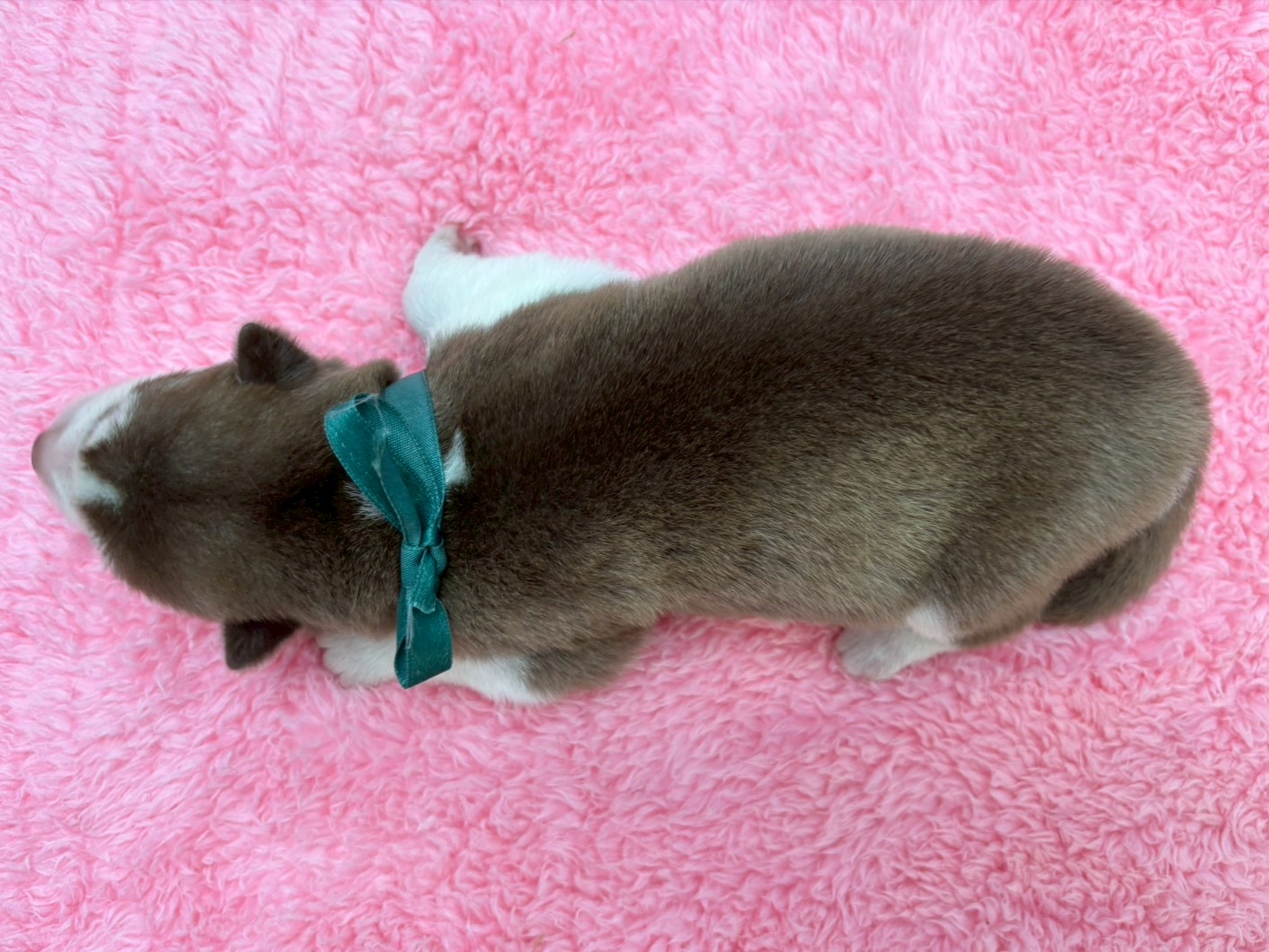 赤ちゃん写真1-3
