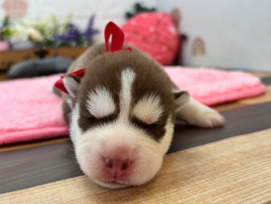 赤ちゃん写真1-1