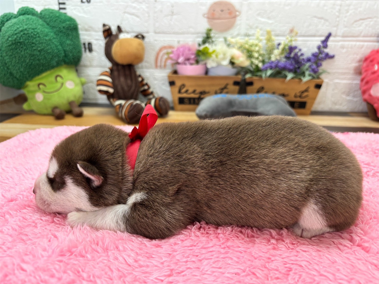 赤ちゃん写真1-2
