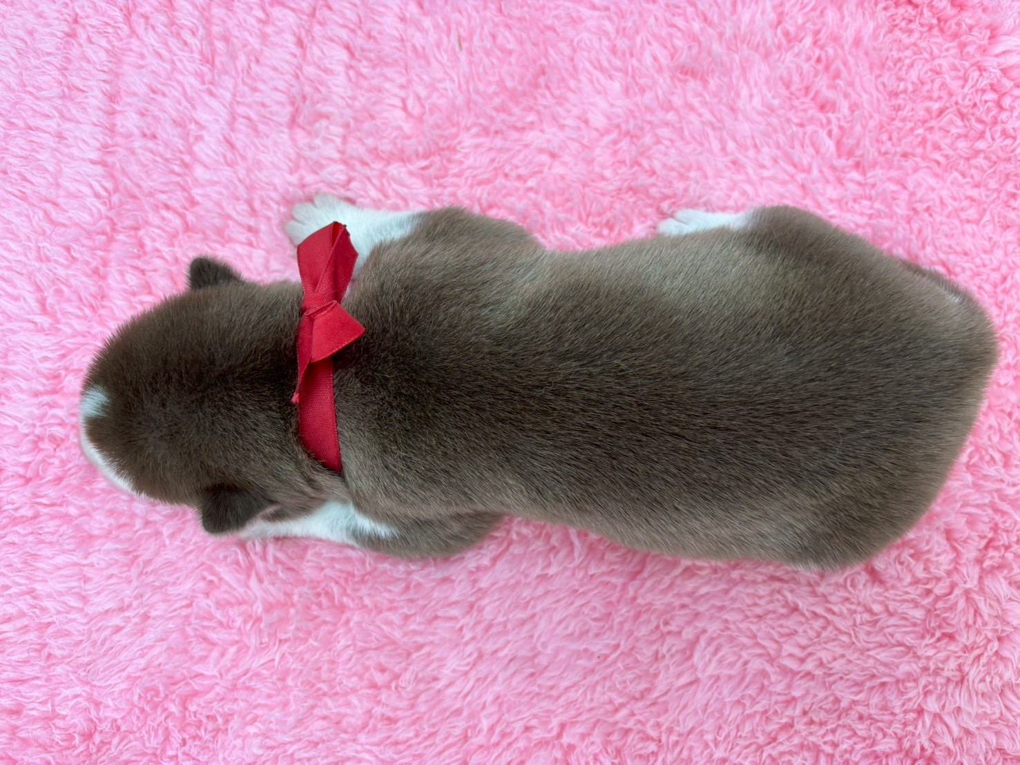 赤ちゃん写真1-3