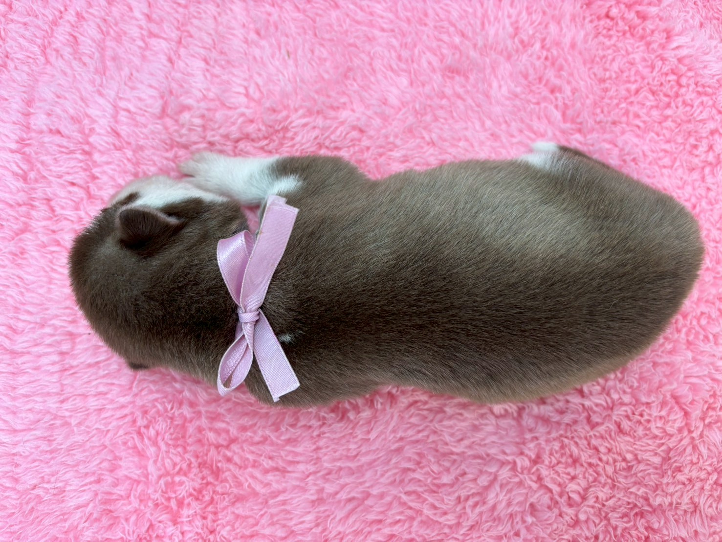 赤ちゃん写真1-3