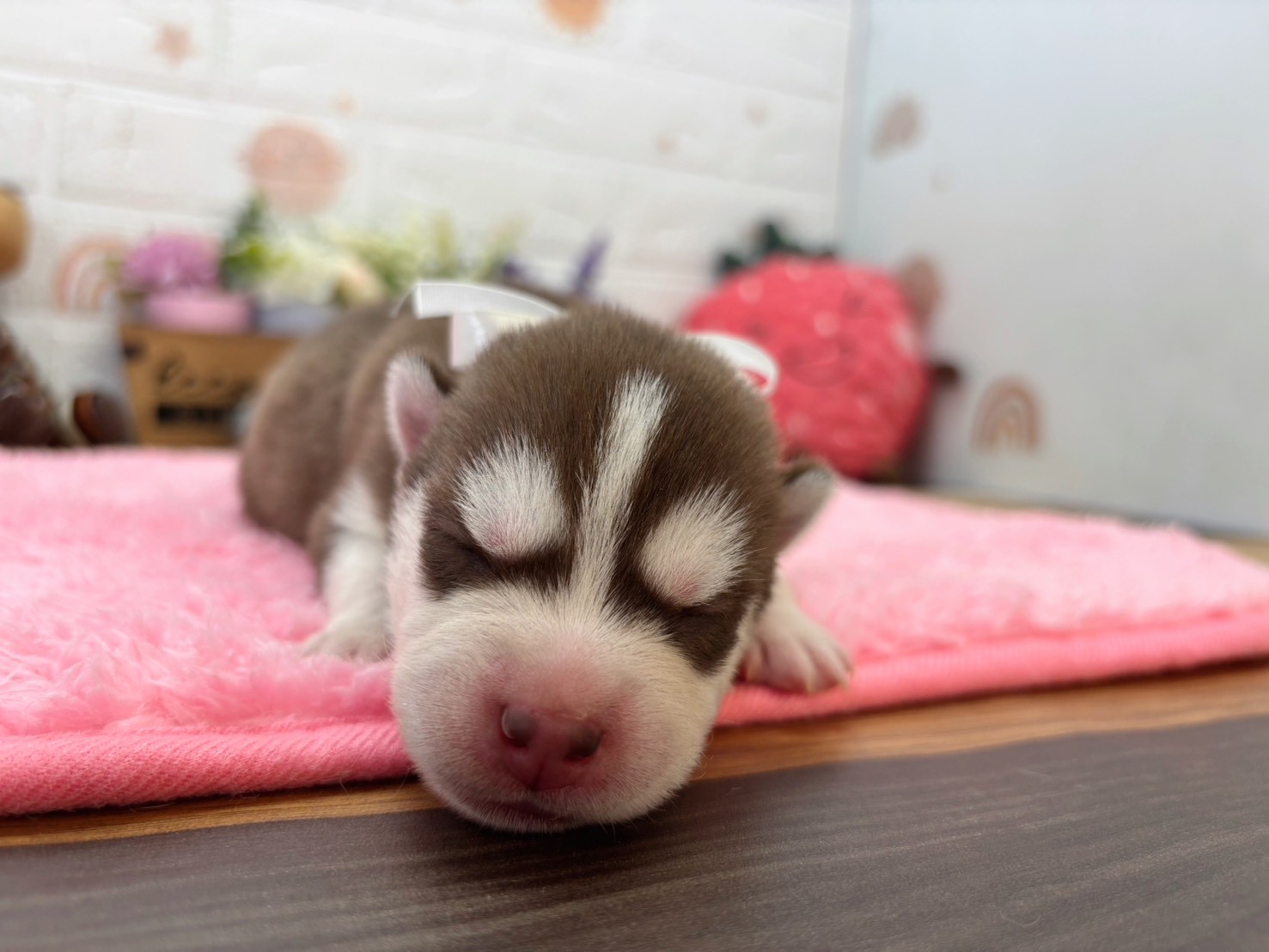 赤ちゃん写真1-1