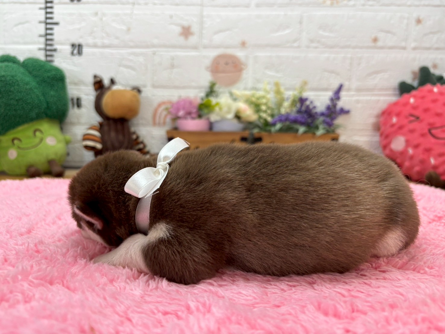 赤ちゃん写真1-2