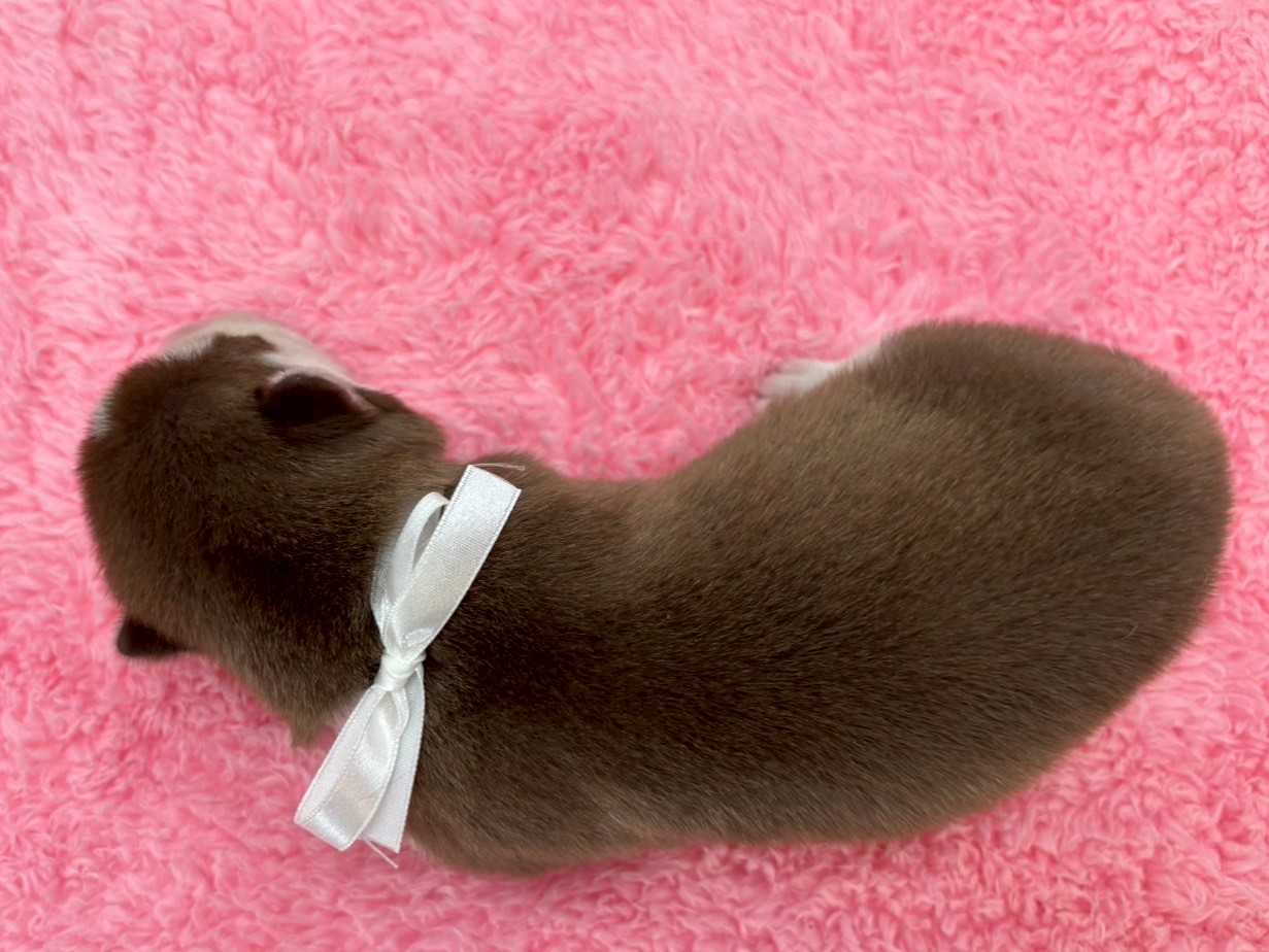 赤ちゃん写真1-3