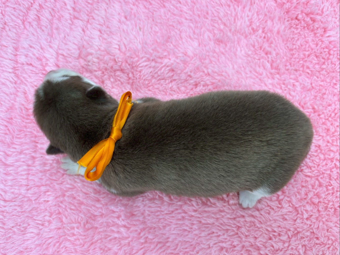 赤ちゃん写真1-3