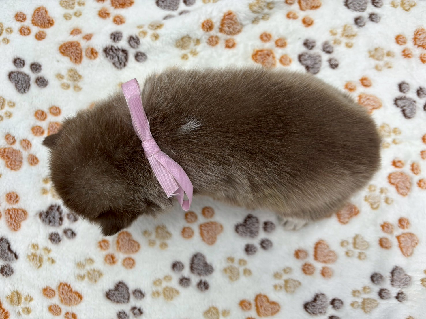 赤ちゃん写真2-3