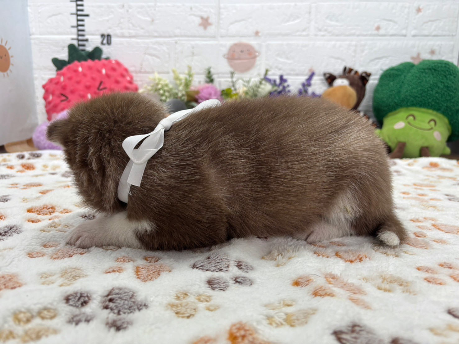 赤ちゃん写真2-2