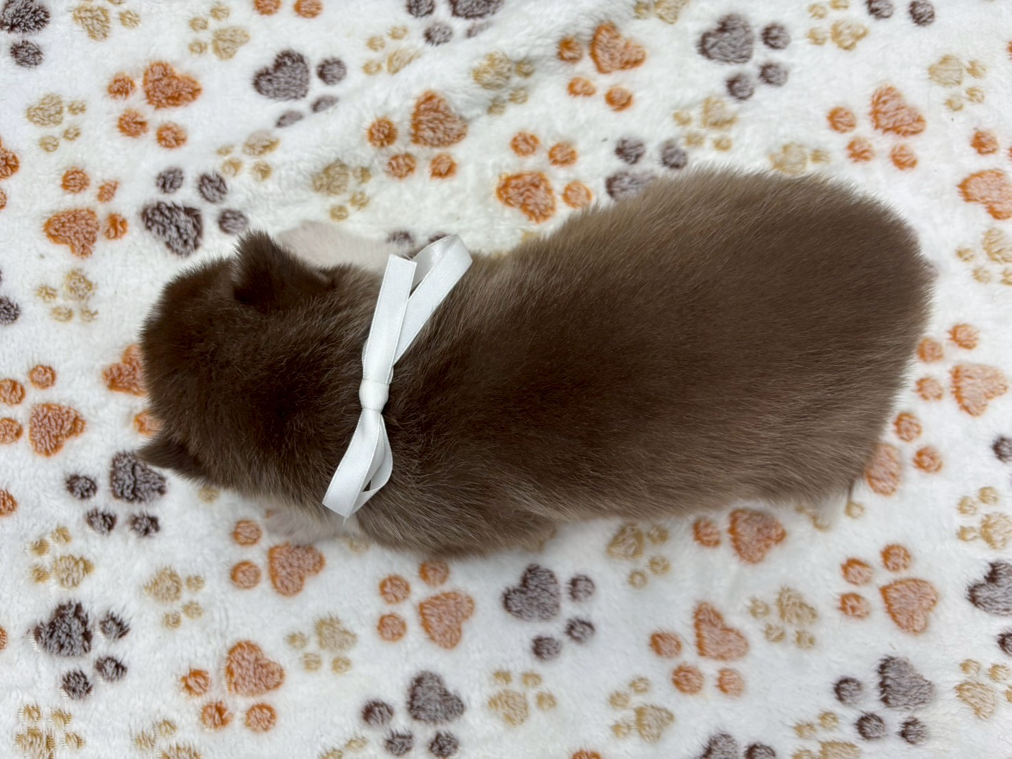 赤ちゃん写真2-3