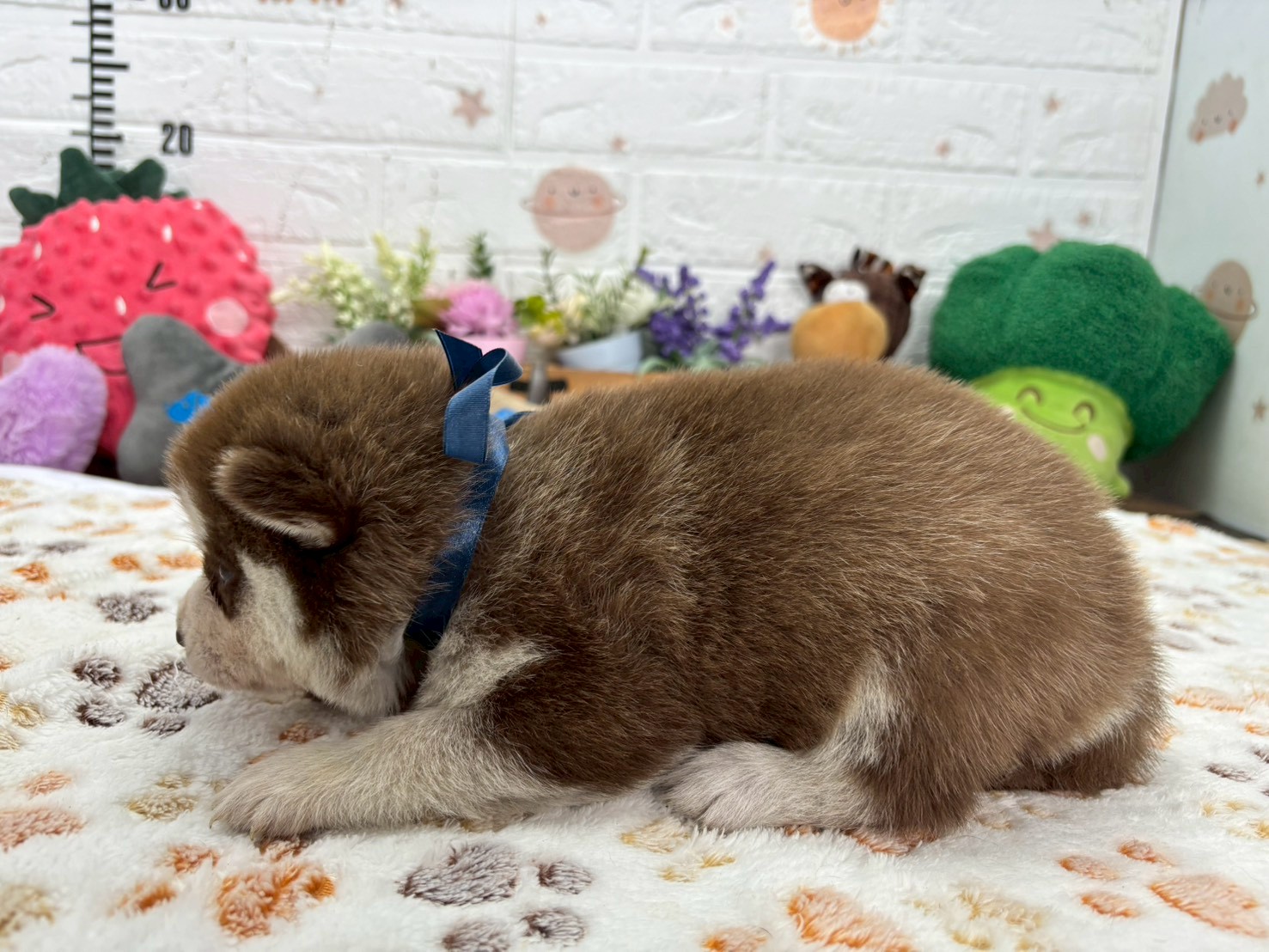 赤ちゃん写真2-2