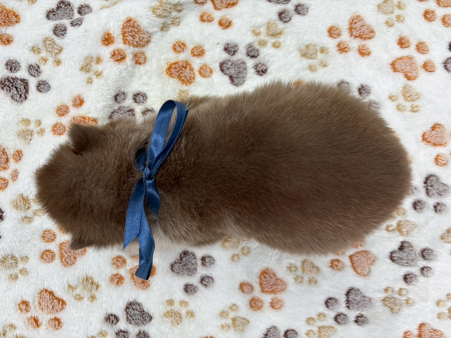赤ちゃん写真2-3