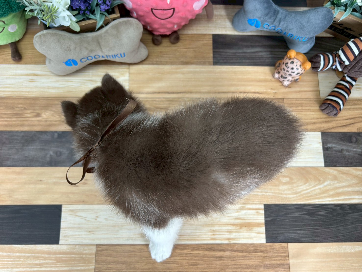 赤ちゃん写真3-3
