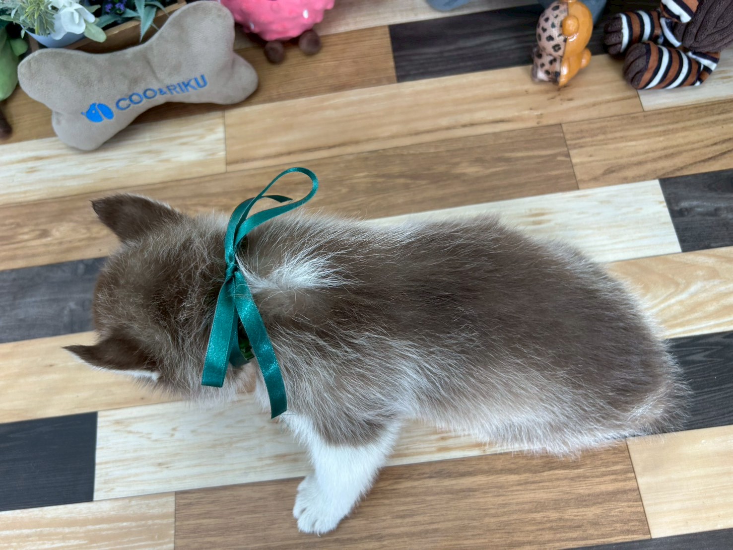 赤ちゃん写真3-3