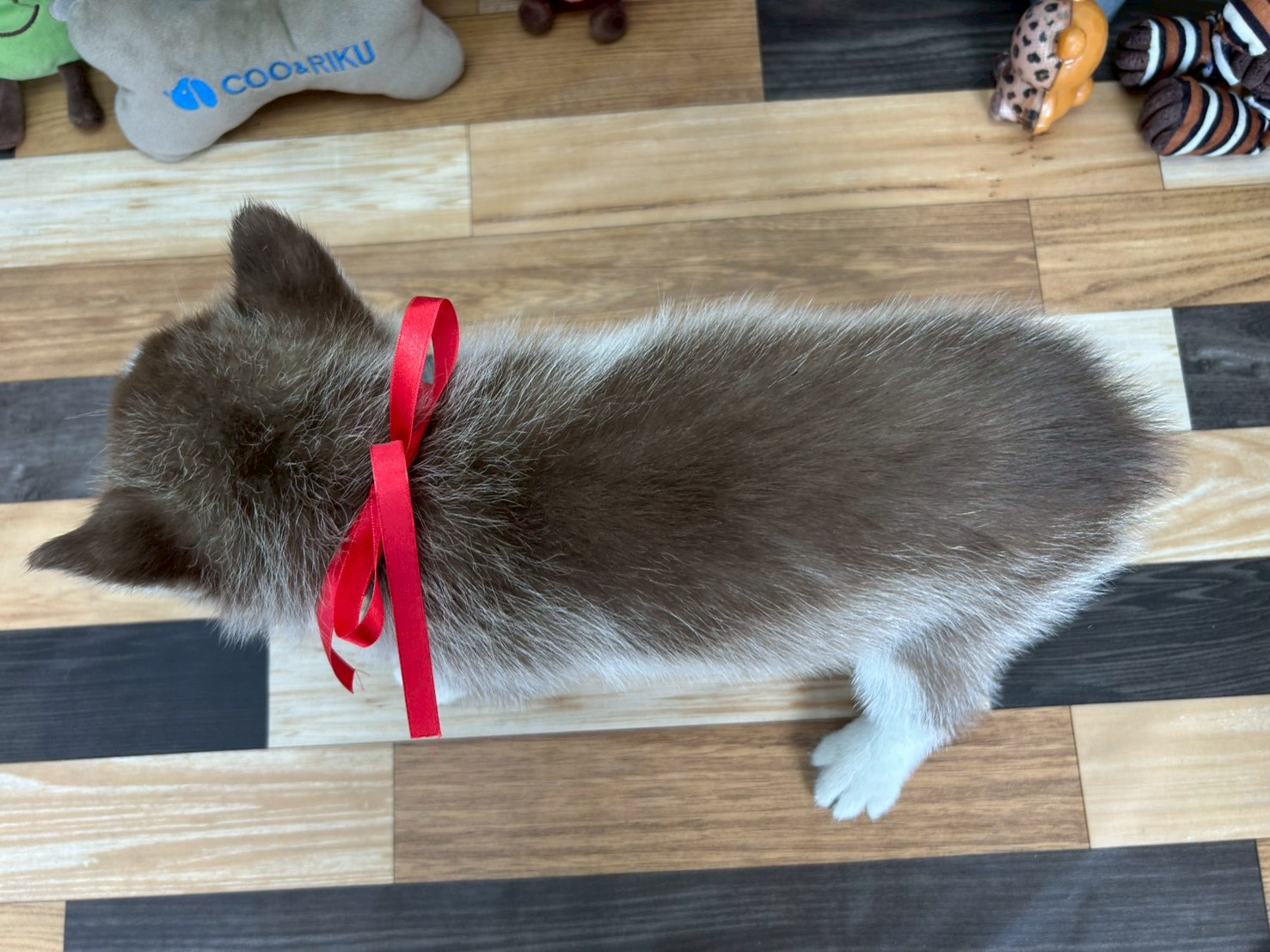 赤ちゃん写真3-3