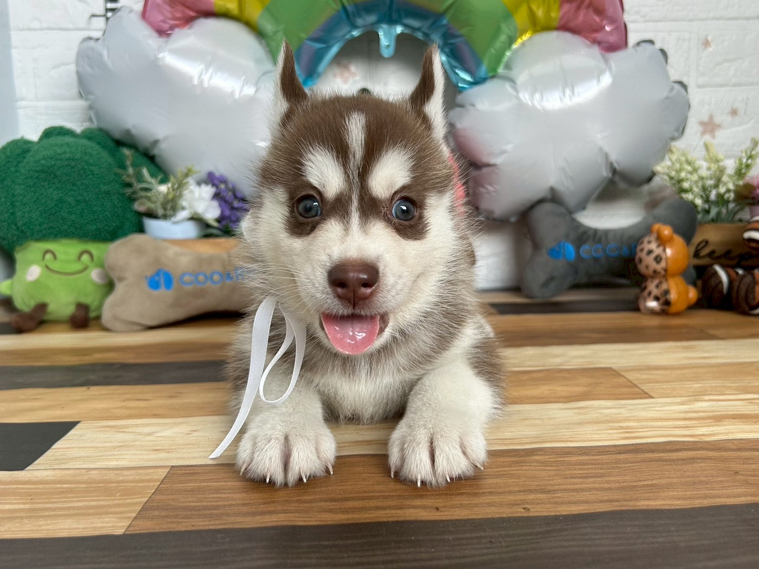 赤ちゃん写真3-1