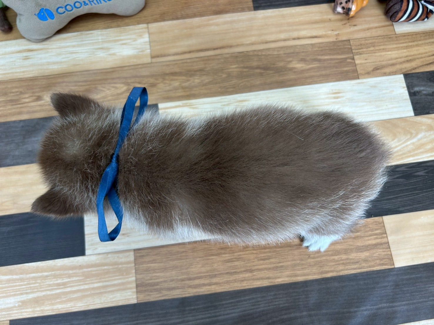 赤ちゃん写真3-3