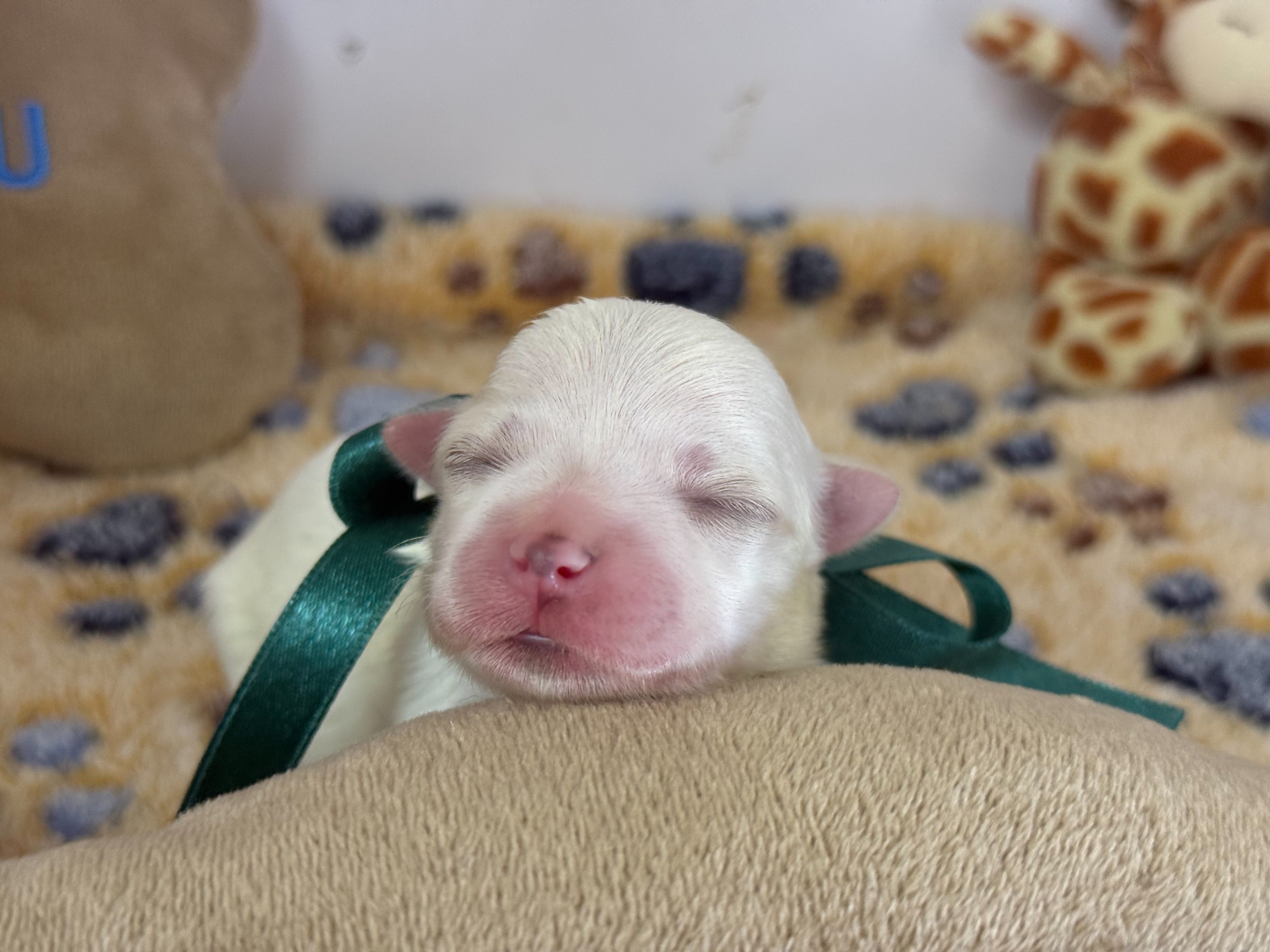 赤ちゃん写真1-1