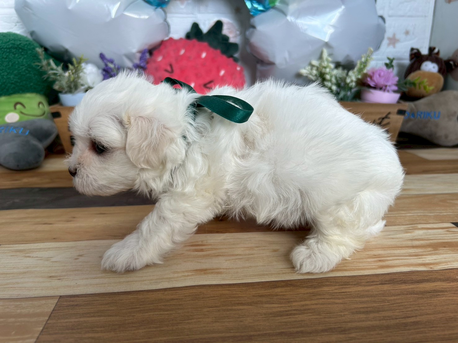 赤ちゃん写真3-2