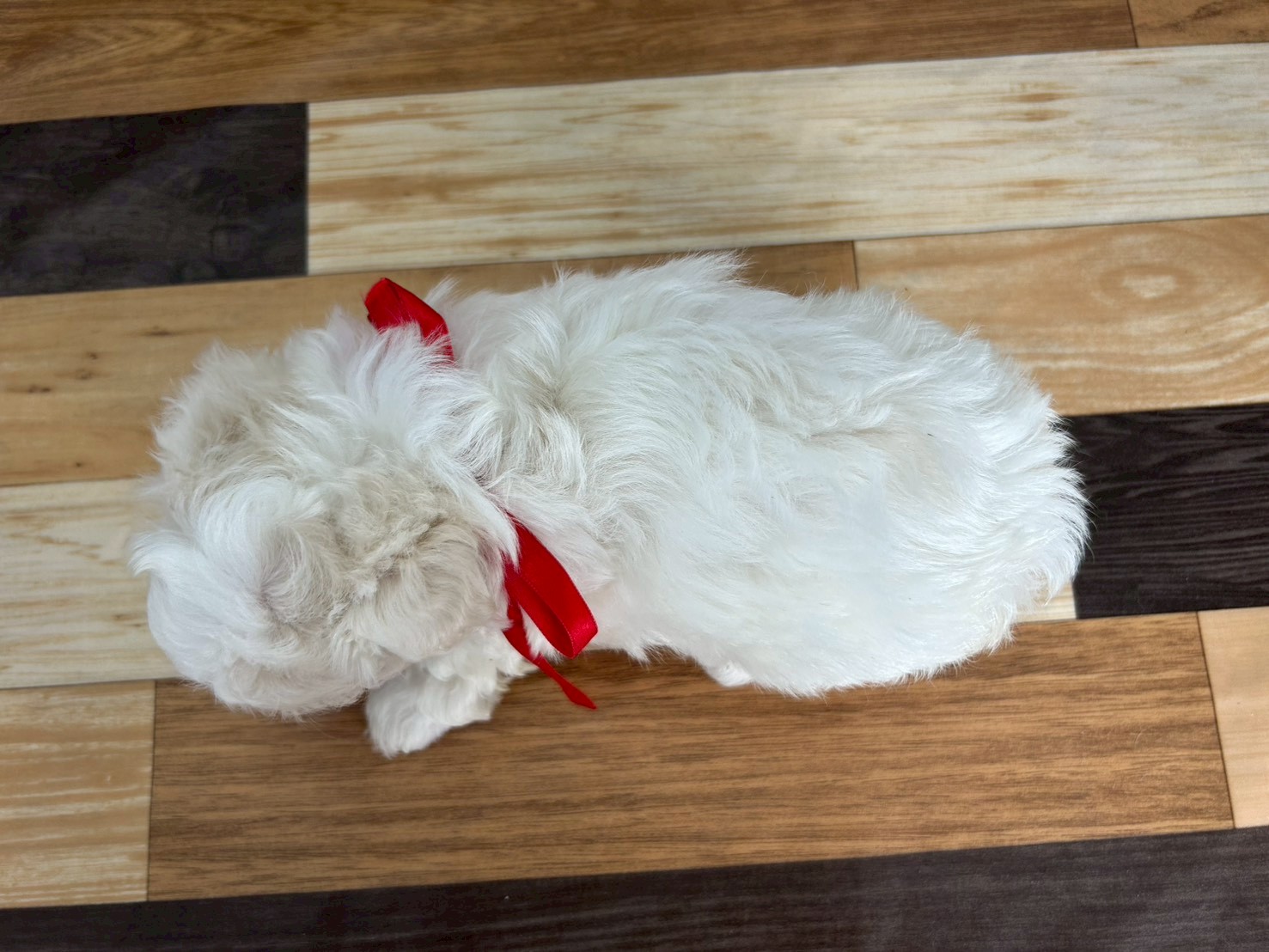 赤ちゃん写真3-3