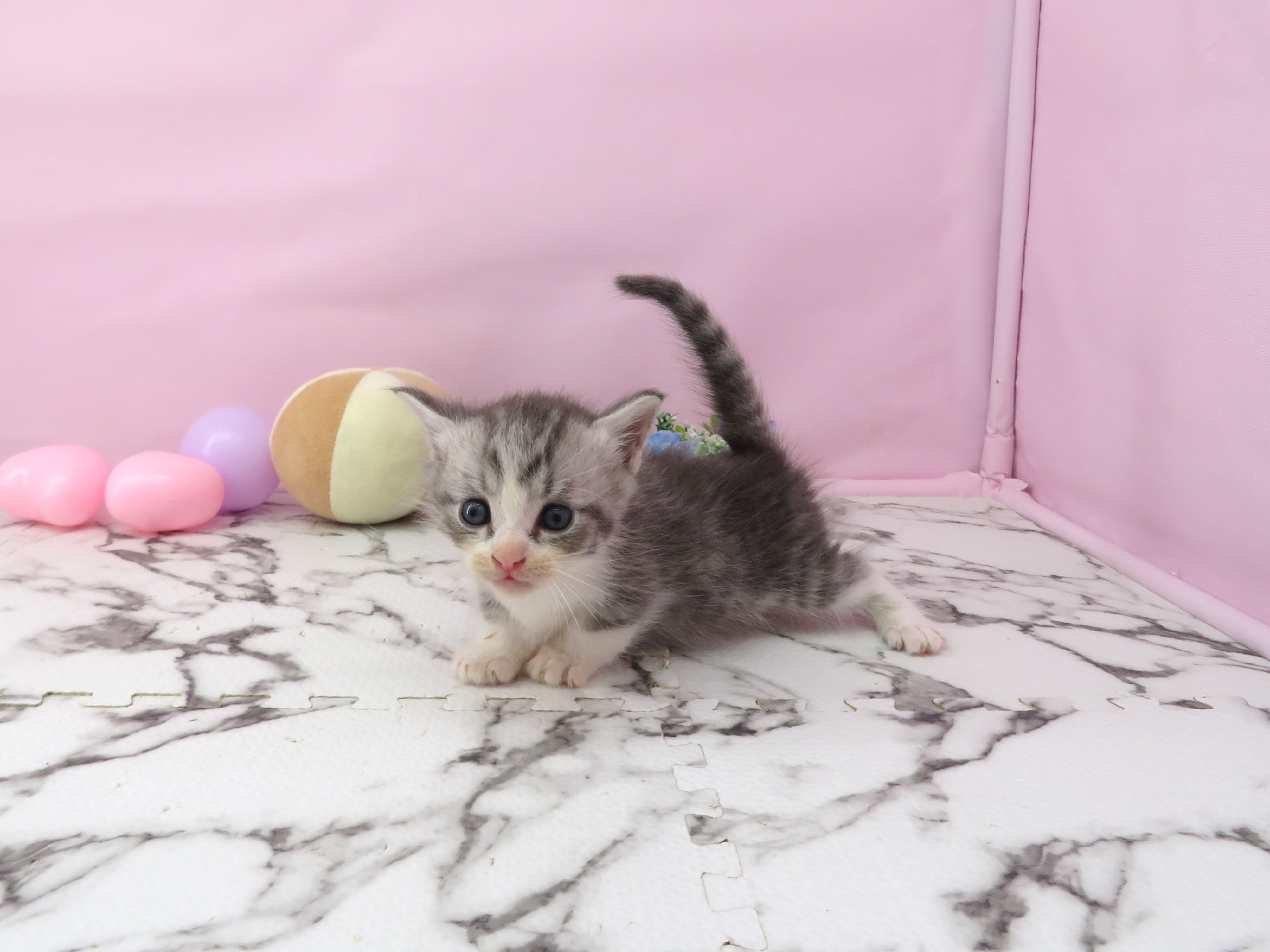 赤ちゃん写真2-2