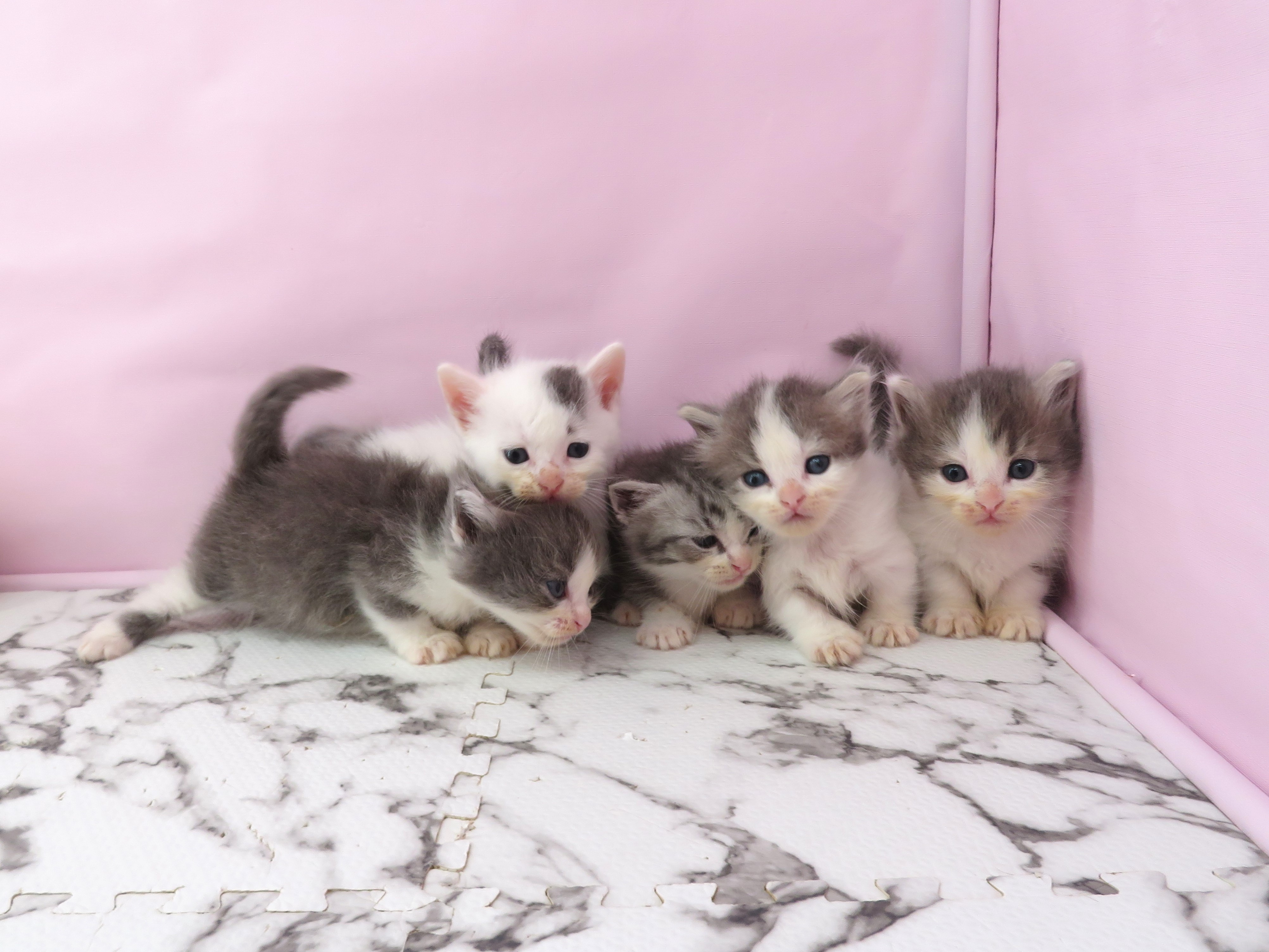 赤ちゃん写真2-3